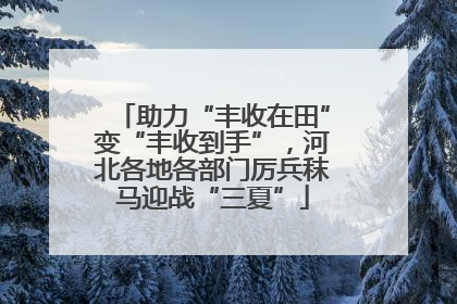 助力“丰收在田”变“丰收到手”，河北各地各部门厉兵秣马迎战“三夏”