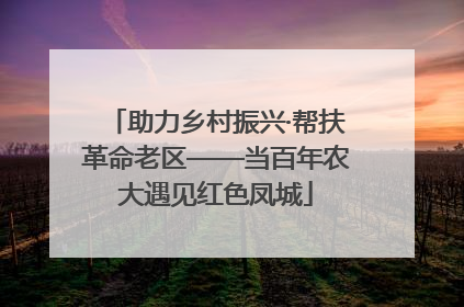 助力乡村振兴·帮扶革命老区——当百年农大遇见红色凤城