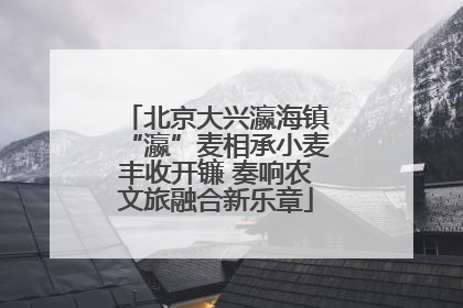 北京大兴瀛海镇“瀛”麦相承小麦丰收开镰 奏响农文旅融合新乐章