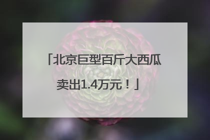 北京巨型百斤大西瓜卖出1.4万元！