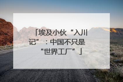 埃及小伙“入川记”：中国不只是“世界工厂”