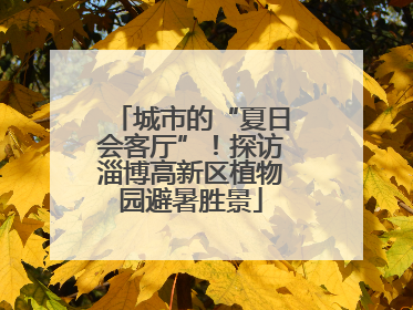 城市的“夏日会客厅”！探访淄博高新区植物园避暑胜景