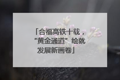 合福高铁十载，“黄金通道”绘就发展新画卷