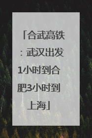 合武高铁：武汉出发1小时到合肥3小时到上海