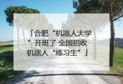 合肥“机器人大学”开班了 全国招收机器人“练习生”