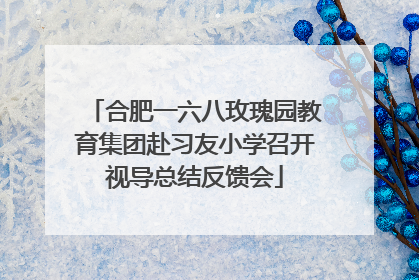合肥一六八玫瑰园教育集团赴习友小学召开视导总结反馈会