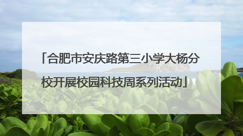 合肥市安庆路第三小学大杨分校开展校园科技周系列活动
