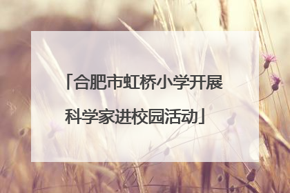 合肥市虹桥小学开展科学家进校园活动