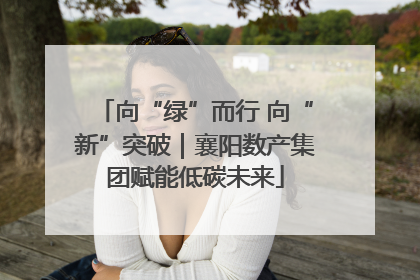 向“绿”而行 向“新”突破｜襄阳数产集团赋能低碳未来
