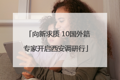 向新求质 10国外籍专家开启西安调研行