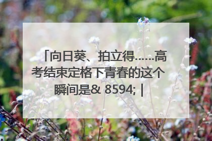 向日葵、拍立得……高考结束定格下青春的这个瞬间是& 8594;｜2025四川高考