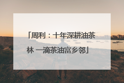 周利：十年深耕油茶林 一滴茶油富乡邻
