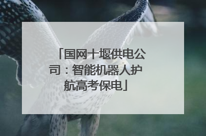 国网十堰供电公司：智能机器人护航高考保电