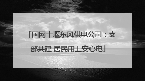 国网十堰东风供电公司：支部共建 居民用上安心电