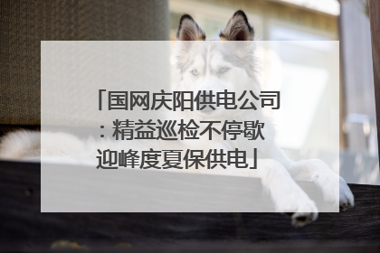 国网庆阳供电公司：精益巡检不停歇 迎峰度夏保供电