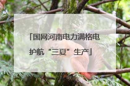 国网河南电力满格电护航“三夏”生产