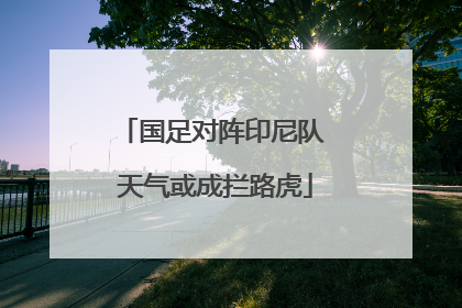 国足对阵印尼队 天气或成拦路虎
