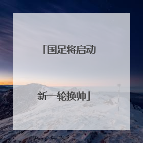 国足将启动新一轮换帅