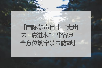 国际禁毒日丨“走出去+请进来” 华容县全方位筑牢禁毒防线