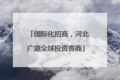 国际化招商，河北广邀全球投资客商
