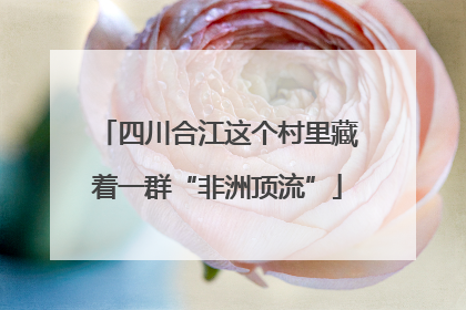 四川合江这个村里藏着一群“非洲顶流”