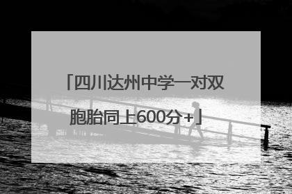 四川达州中学一对双胞胎同上600分+