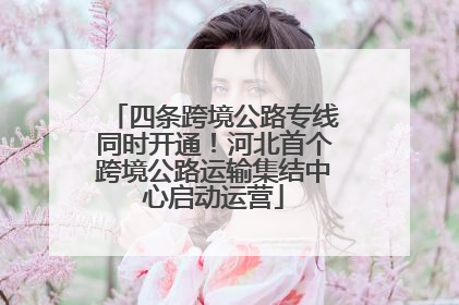 四条跨境公路专线同时开通！河北首个跨境公路运输集结中心启动运营