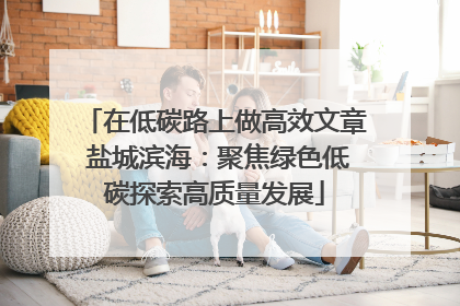 在低碳路上做高效文章 盐城滨海：聚焦绿色低碳探索高质量发展