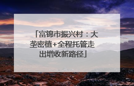 富锦市振兴村：大垄密植+全程托管走出增收新路径