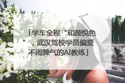 学车全程“和颜悦色”，武汉驾校学员偏爱不闹脾气的AI教练
