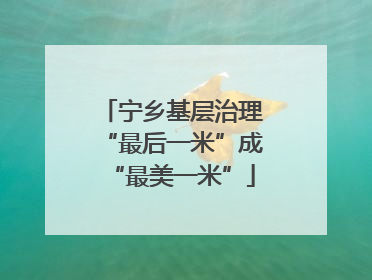 宁乡基层治理“最后一米”成“最美一米”