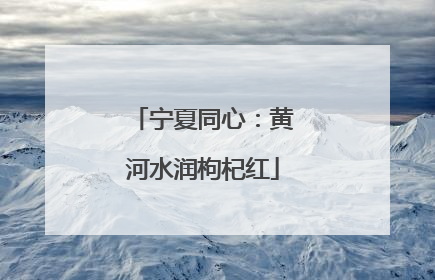 宁夏同心：黄河水润枸杞红