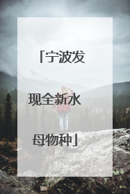 宁波发现全新水母物种