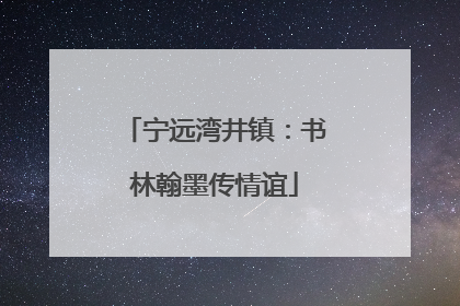 宁远湾井镇：书林翰墨传情谊