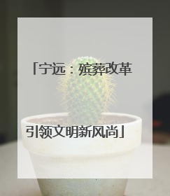 宁远：殡葬改革引领文明新风尚