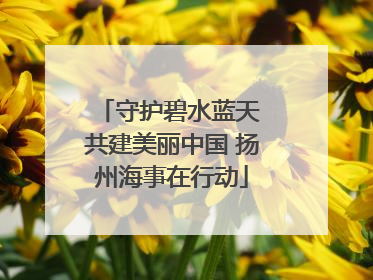 守护碧水蓝天 共建美丽中国 扬州海事在行动
