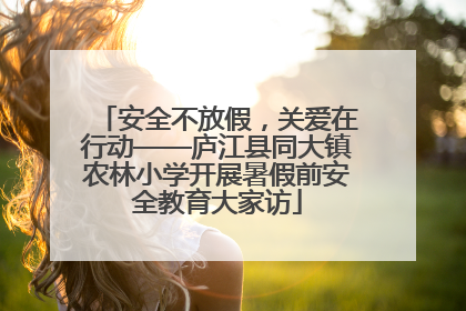 安全不放假，关爱在行动——庐江县同大镇农林小学开展暑假前安全教育大家访