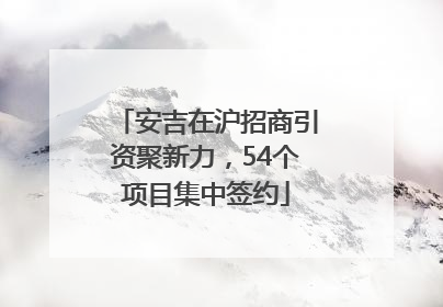 安吉在沪招商引资聚新力，54个项目集中签约