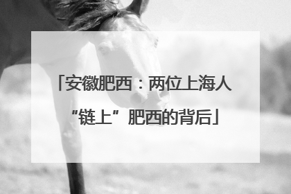 安徽肥西：两位上海人“链上”肥西的背后