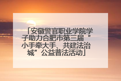安徽警官职业学院学子助力合肥市第三届“小手牵大手、共建法治城”公益普法活动