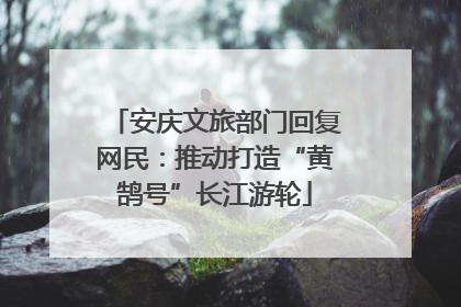 安庆文旅部门回复网民：推动打造“黄鹄号”长江游轮