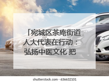 宛城区茶庵街道人大代表在行动：弘扬中医文化 把脉基层健康