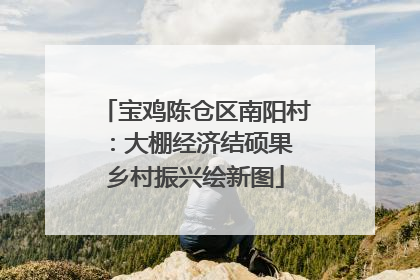 宝鸡陈仓区南阳村：大棚经济结硕果 乡村振兴绘新图