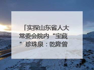 实探山东省人大常委会院内“宝藏”珍珠泉：乾隆曾为它题诗，游客无需预约免费游览