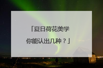 夏日荷花美学 你能认出几种？
