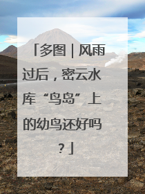 多图｜风雨过后，密云水库“鸟岛”上的幼鸟还好吗？