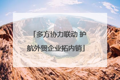 多方协力联动 护航外贸企业拓内销