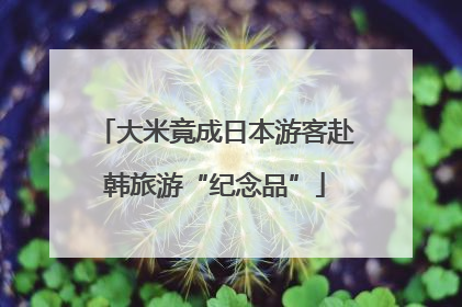 大米竟成日本游客赴韩旅游“纪念品”