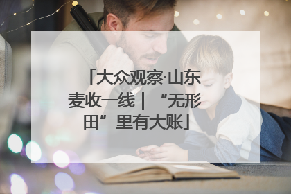 大众观察·山东麦收一线｜“无形田”里有大账