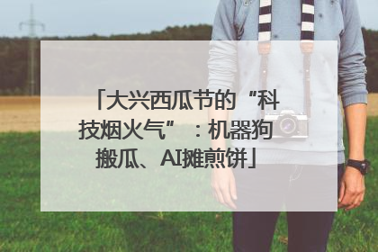 大兴西瓜节的“科技烟火气”：机器狗搬瓜、AI摊煎饼